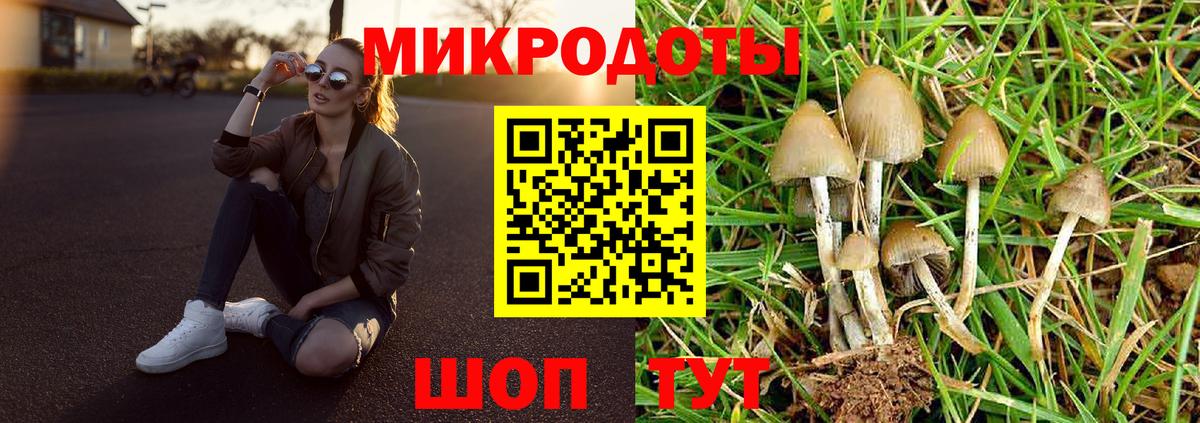 Луга  Галлюциногенные грибы ЛСД  Вход с VPN 